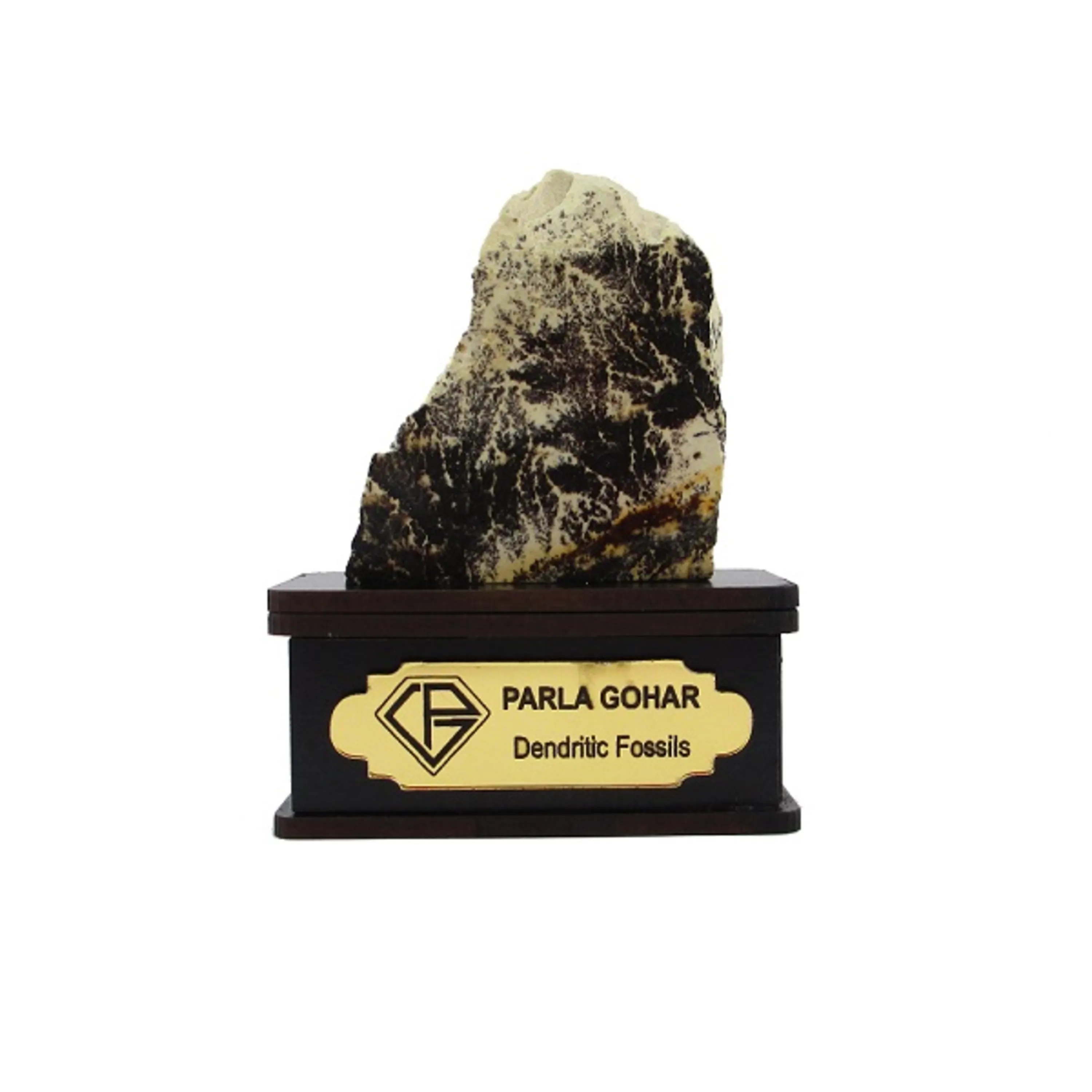 شجر راف کد 2360